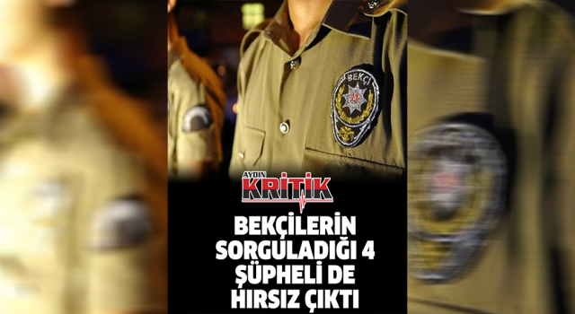 Bekçilerin sorguladığı 4 şüpheli de hırsız çıktı