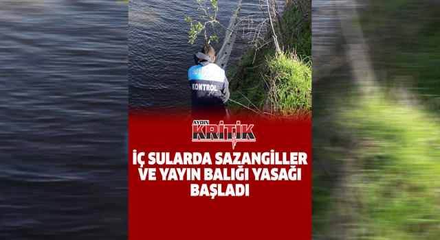 İç sularda sazangiller ve yayın balığı yasağı başladı