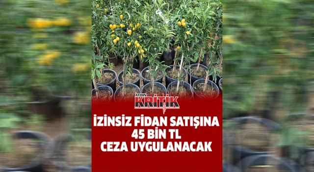 İzinsiz fidan satışına 54 bin TL ceza uygulanacak