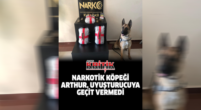 Narkotik köpeği Arthur, uyuşturucuya geçit vermedi