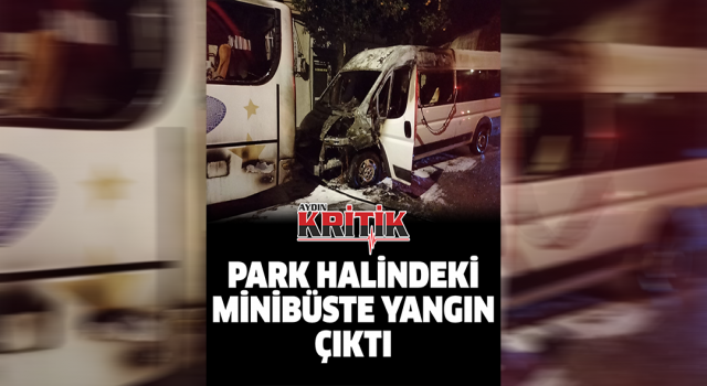 Park halindeki minibüste yangın çıktı