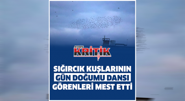 Sığırcık Kuşlarının Gün Doğumu Dansı Görenleri Mest Etti