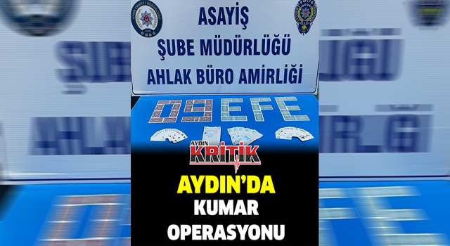 Aydın'da kumar operasyonu