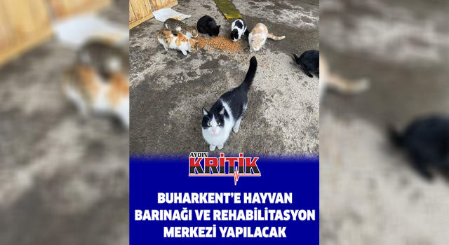 Buharkent’e Hayvan Barınağı ve Rehabilitasyon Merkezi yapılacak