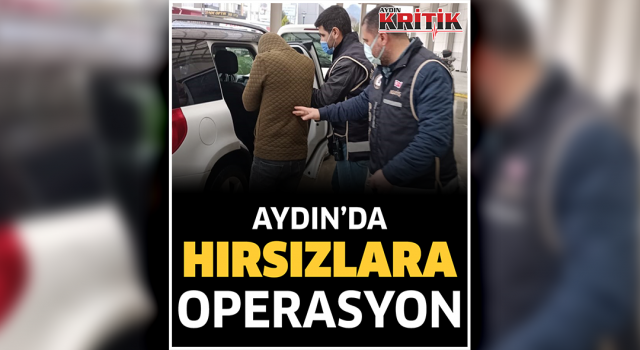 Aydın'da hırsızlara operasyon