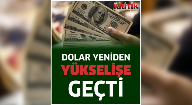 Dolar yeniden yükselişe geçti