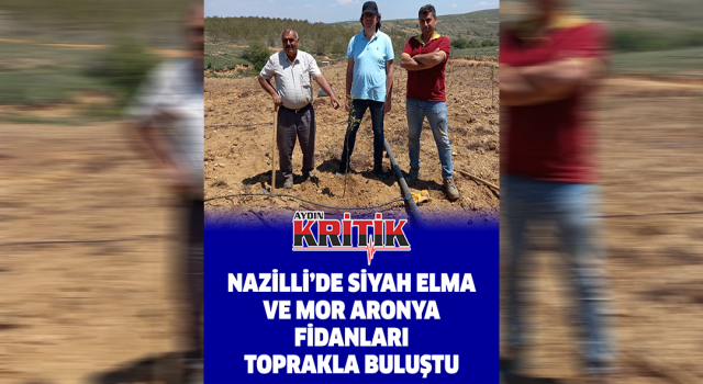 Nazilli’de siyah elma ve mor aronya fidanları toprakla buluştu