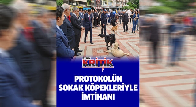 Protokolün sokak köpekleriyle imtihanı