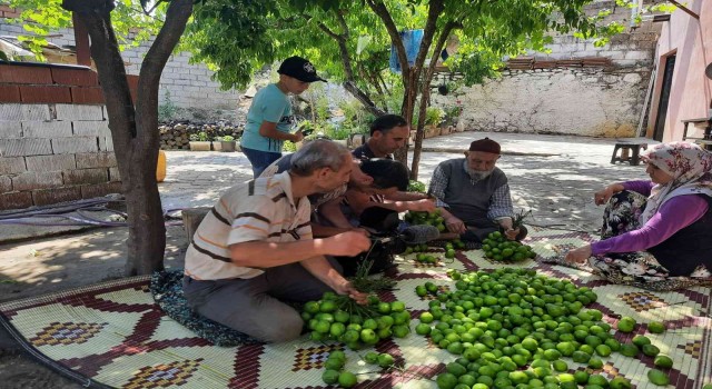 Aydın’da ilek mesaisi başladı