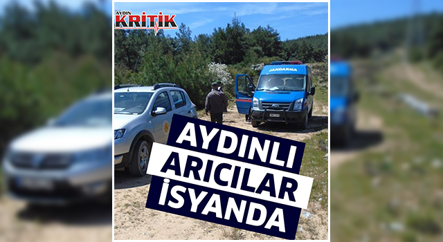 Aydınlı arıcılar isyanda