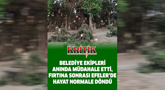 Belediye ekipleri anında müdahale etti, fırtına sonrası Efeler'de hayat normale döndü