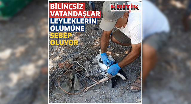 Bilinçsiz vatandaşlar leyleklerin ölümüne sebep oluyor