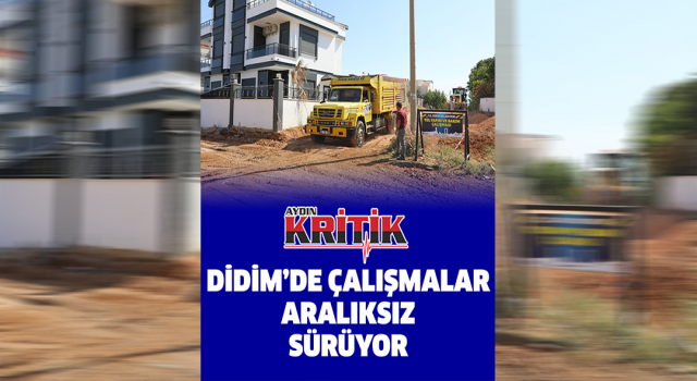 Didim'de çalışmalar aralıksız sürüyor