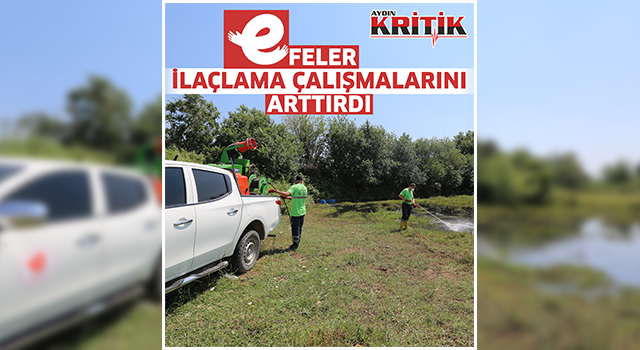 Efeler ilaçlama çalışmalarını arttırdı