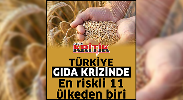 Türkiye gıda krizinde en riskli 11 ülkeden biri