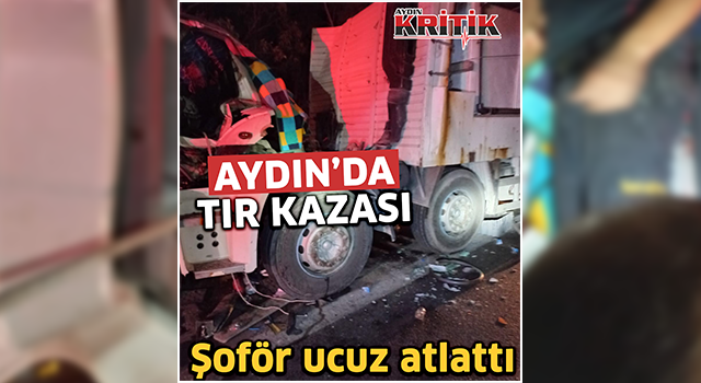 Aydın'da tır kazası: Şoför ucuz atlattı