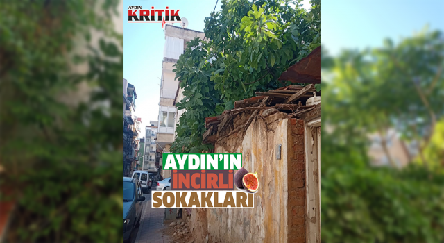 Aydın’ın incirli sokakları