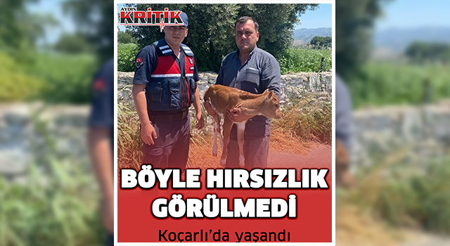 Böyle hırsızlık görülmedi! Koçarlı'da yaşandı