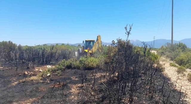 Didim’de orman yangını faciasının önüne belediye ekipleri geçti