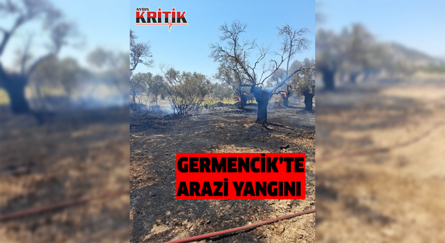 Germencik’te arazi yangını