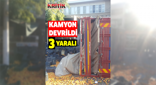 Kayısı yüklü kamyon devrildi: 3 yaralı