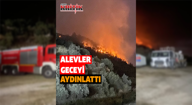 Söke'deki orman yangınında alevler geceyi aydınlattı