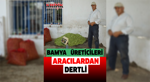 Aydınlı bamya üreticileri 'bamya kooperatifi' kurulmasını istiyor