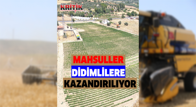 Didim Belediyesi'nin mahsulleri Didimlilere kazandırılıyor