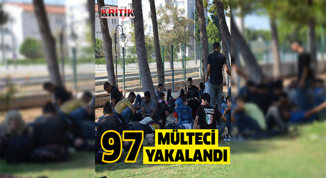 Didim’de 97 mülteci kamyonet kasasında yakalandı