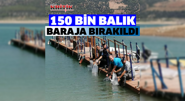 Kemer Barajı’na 150 bin balık bırakıldı