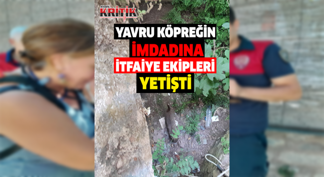 Kuyuya düşen yavru köpeğin imdadına itfaiye ekipleri yetişti