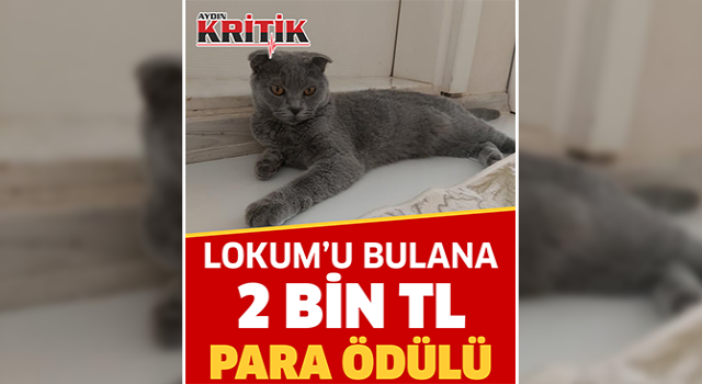 Lokum'u bulana 2 bin TL para ödülü