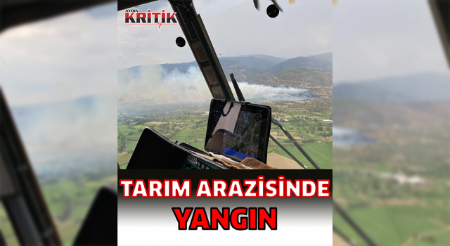 Nazilli'de tarım arazisinde yangın