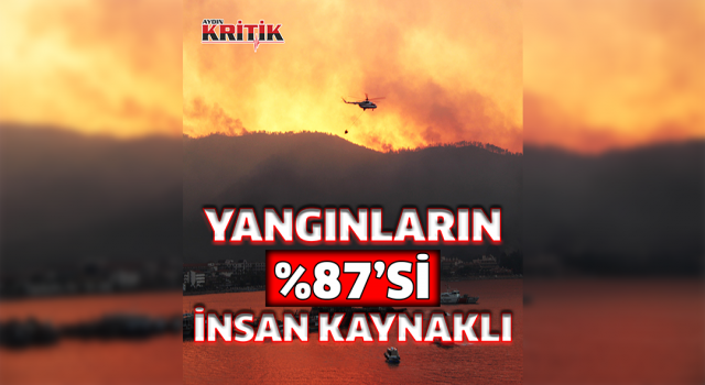 “Orman yangınlarının yüzde 87’si insan kaynaklı”