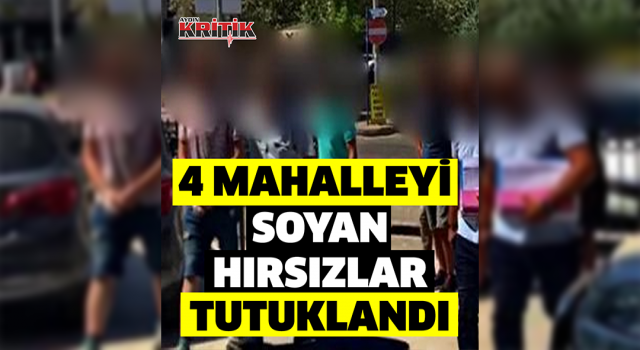 Polis ekipleri hırsızları tespit etmek için 340 saatlik kamera görüntüsü inceledi