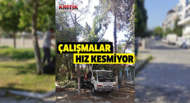 Söke Belediyesi Park İşleri Ekipleri çalışmalarında hız kesmiyor