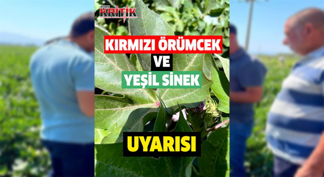 Söke İlçe Tarım’dan, kırmızı örümcek ve yeşil sinek uyarısı