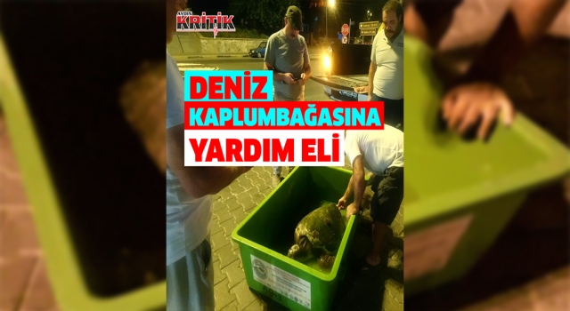 Yaralı deniz kaplumbağasına EKODOSD’dan yardım eli