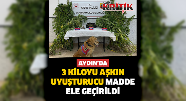 Aydın'da 3 kiloyu aşkın uyuşturucu madde ele geçirildi