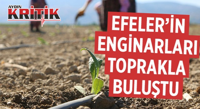 Efeler’in enginarları toprakla buluştu