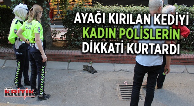 Ayağı kırılan kediyi, kadın polislerin dikkati kurtardı