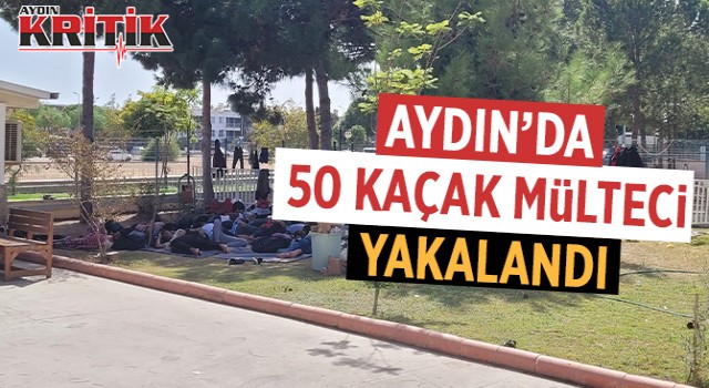 Aydın'da 50 kaçak mülteci yakalandı