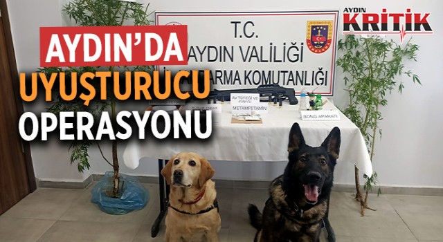 Aydın'da uyuşturucu operasyonu