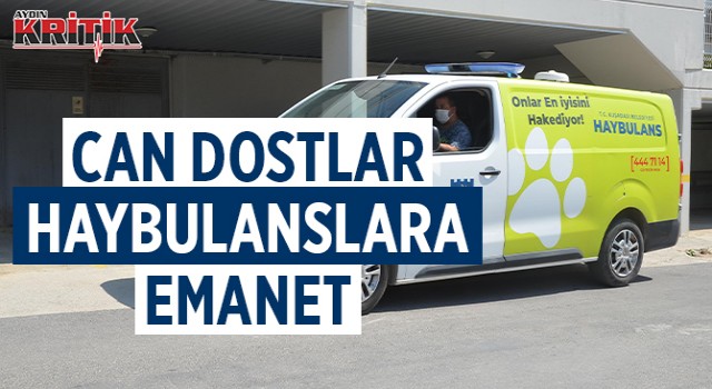 CAN DOSTLAR HAYBULANSLARA EMANET