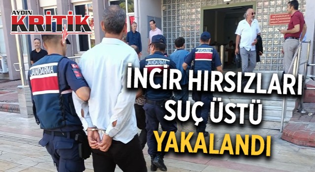 İncir hırsızları suçüstü yakaladı