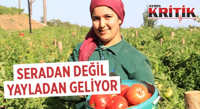 Seradan değil yayladan geliyor