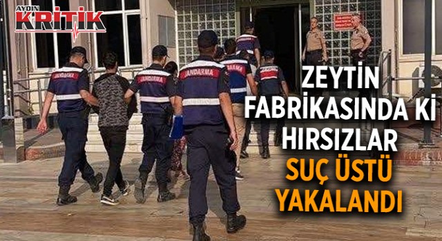 Zeytin fabrikasında ki hırsızlar suçüstü yakalandı