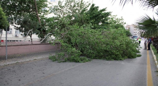 Meteoroloji’den Aydın’a kuvvetli rüzgar ve fırtına uyarısı