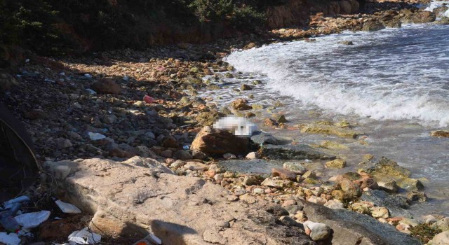 Didim’de denizde bir ceset daha bulundu