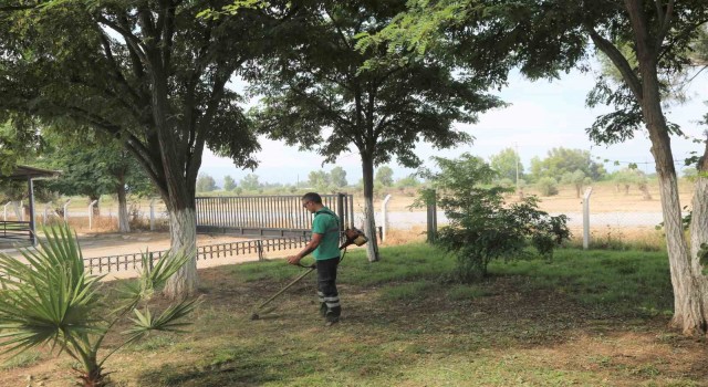 Efeler’de hayvan pazarı bayrama hazır